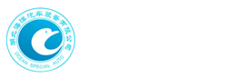 ר